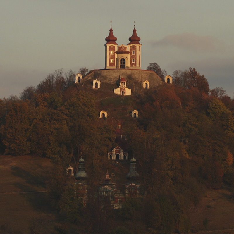 2021-06-03-17_41_3103.jpg 2021-06-03-17_41_3103.jpg