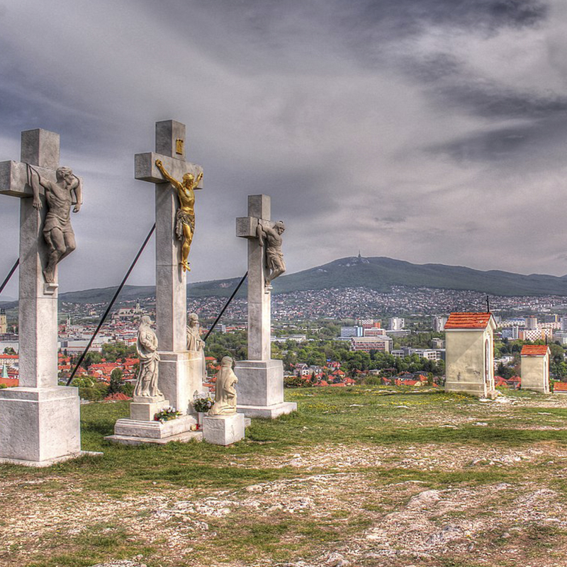 2021-06-03-17_41_3105.jpg 2021-06-03-17_41_3105.jpg